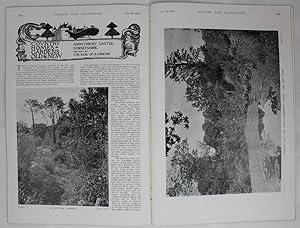 Original Issue of Country Life Magazine Dated December 9th 1899, with a Main Feature on Abbotsbur...