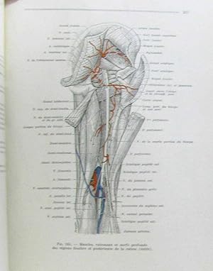 Atlas - aide mémoire d'Anatomie