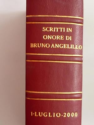 STUDI IN ONORE DI BRUNO ANGELILLO Volume I Luglio 2000