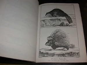 L'Encyclopédie Diderot et d'Alembert. Histoire Naturelle Mammifères Oiseaux