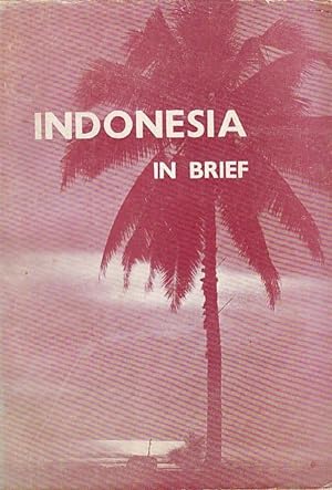 Indonesia en brief