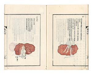 Jing xue zuan yao [trans. in Japanese: Keiketsu san'yo; trans.: Chinese & Japanese Acupuncture ex...