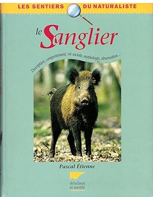 Le sanglier