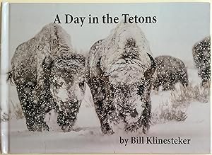 A Day in the Tetons (signed)