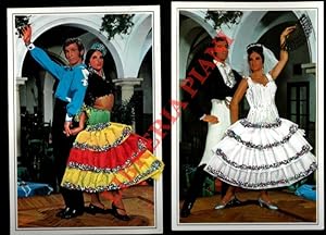 Copie di ballerini spagnoli in costumi tipici.