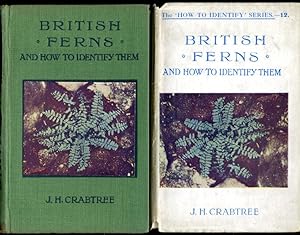 British Ferns : And How to Identify Them