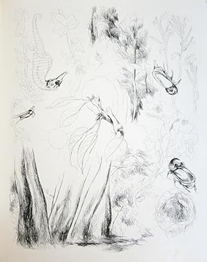 De la nature. Avec 41 eaux-fortes originales de Léopold-Lévy (De Rerum Natura)