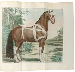 Cours d'hippiatrique, ou traité complet de la médecine des chevaux