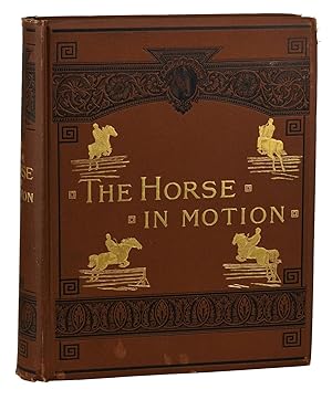 The Horse in Motion