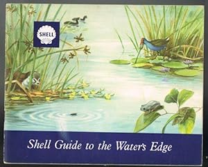 Shell Guide to the Water's Edge