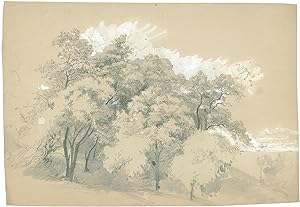 Bäume am hohen Seeufer, 1822/26.