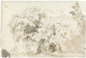 Baumgruppe bei Narni, um 1840.