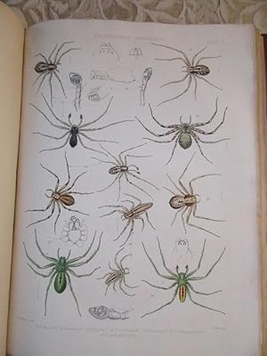 A History of the Spiders of Great Britain and Ireland - Parts I & II bound in One Volume