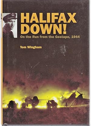 Halifax Down!: On the run from the Gestapo, 1944
