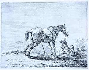 Antique print, etching | Pissing horse [set of 12 horses] (Plassend paard), published 1651, 1 p.