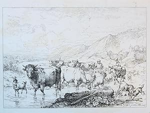 Cattle in a mountainous landscape (vee in een berglandschap).