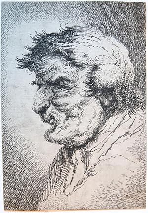Caricature head profile/Tronie (Karikaturaal portret).