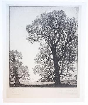 [Modern print, etching] "Les peupliers blancs" with a view of Haarlem (witte populieren bij Haarl...
