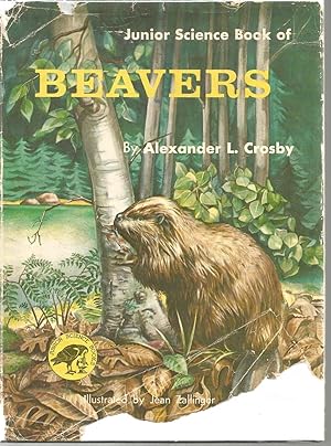 Junior Science Book of Beavers