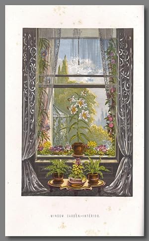 THE FLORAL WORLD AND GARDEN GUIDE [from 1877:] AND COUNTRY COMPANION