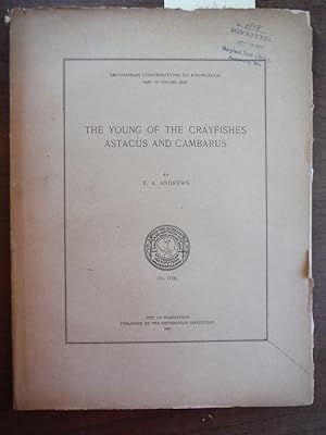 THE YOUNG OF THE CRAYFISHES ASTACUS AND CAMBARUS, BY E. A. ANDREWS.