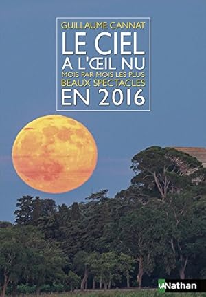 Le ciel à l'oeil nu en 2016