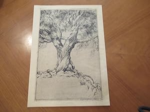 Tree [ Original Etching]