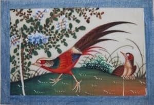 Album of a Dozen Chinese Watercolors of Colorful Birds on Pith Paper, 19th Century