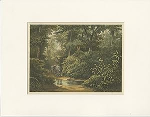 Antique Print of a Forest with Elephants(Java) by M.T.H. Perelaer (1888)