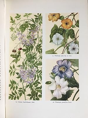 Indisch tuinboek met reproducties naar aquarellen van Ojong Soerjadi