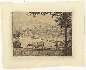 Antique Etching of an Indonesian Landscape by D. Homberg (c.1910)