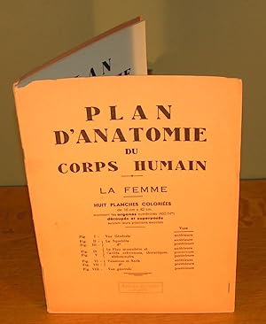PLAN D’ANATOMIE DU CORPS HUMAIN : LA FEMME ( Huit planches coloriées de 16 cm X 42 cm montrant le...