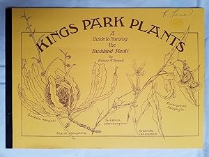 Kings Park Plants - A Guide to Naming the Bushland Plants