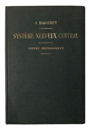 Système nerveux central : Coupes histologiques photographiées