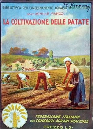 La coltivazione delle patate.