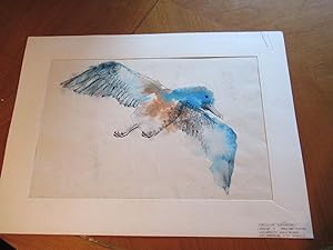 Original Watercolor, Untitled, Of A Bird In Flight