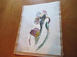 Original Watercolor, Untitled, Iris