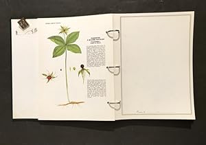 L'Herbier de l'Auvergne et du Limousin. Présenté par Georges-Emmanuel Clancier.