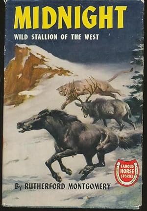 Midnight: Wild Stallion of the West