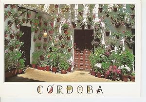 Postal 039007 : Cordoba. Patio Cordobes