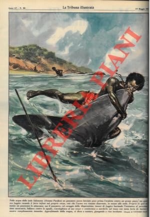 Nelle acque delle isole Salomone (Oceano Pacifico) un pescatore aveva lanciato poco prima l'arpio...