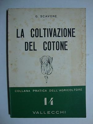 La coltivazione del cotone