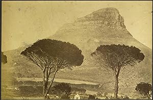 Lion's Head Mountain, Cape Town, South Africa. Albumen photograph