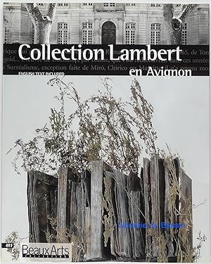 Collection Lambert en Avignon