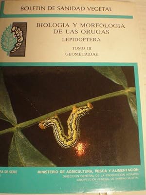Biología y morfología de las orugas. Lepidoptera. Tomo III. Geometridae