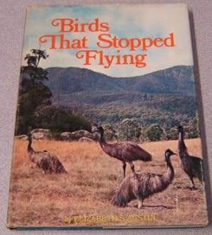 Birds That Stopped Flying