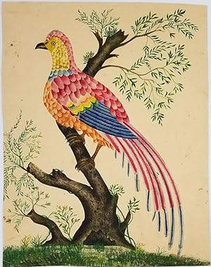 American folk art: Bird of many colored feathers including 'American Flag' tail feathers Original...
