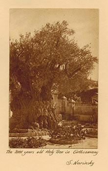 Jerusalem 1910-1920 - 40 Photogravures by S.Narinsky. First edition.