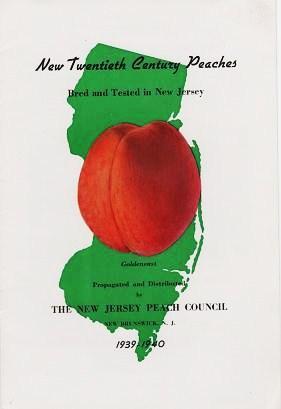 NEW TWENTIETH CENTURY PEACHES: Bred and Tested in New Jersey