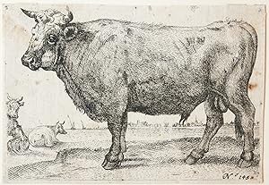 Ets/etching: The Bull [Set: Series of various Oxen and Cows] (De Stier).